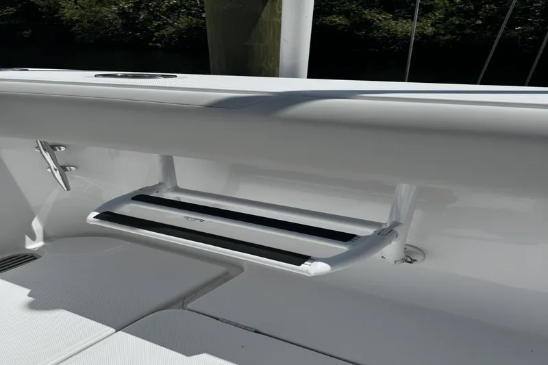 Slide: The Image of Jupiter 43 2024 - 7