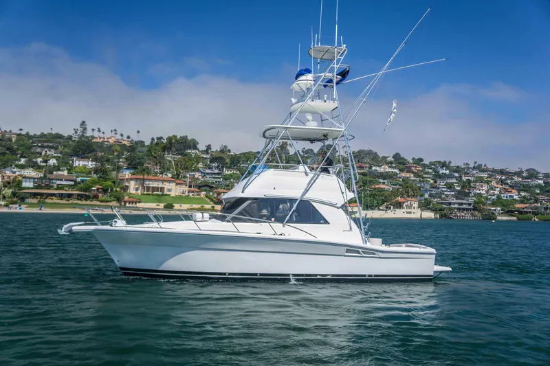 The Image of Riviera 36 Flybridge 2000 - 0