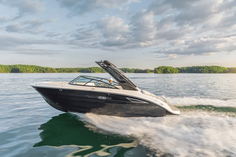 Slide: The Image of Sea Ray SDX 250 2025 - 48