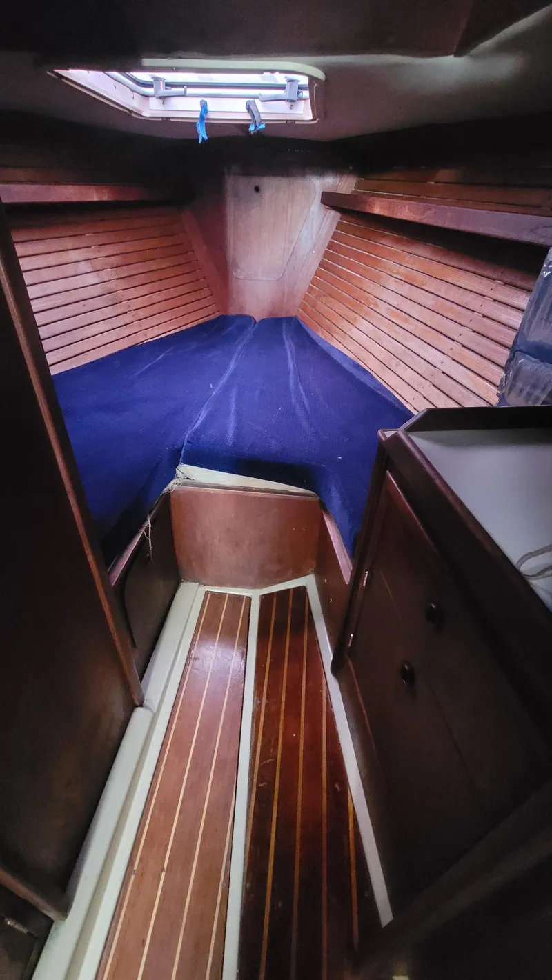 Slide: The Image of Frers 36 1985 - 35