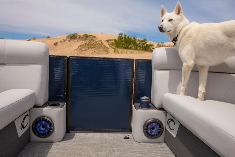 Slide: The Image of 2023 Crest Classic LX boat interior with dog, sand dunes in background. - 8
