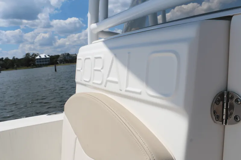 Slide: The Image of Robalo 226 CAYMAN 2017 - 11