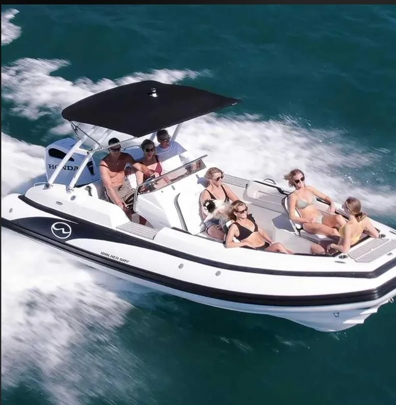 Slide: The Image of Walker Bay WB 22 boat cruising with passengers, 2025 model - 10