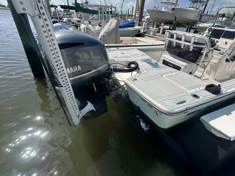 Slide: The Image of Sea Born FX22 BAY 2019 - 33