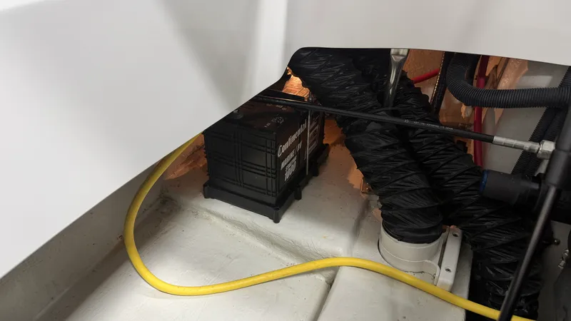 Slide: The Image of Cobalt 242 2011 - 25