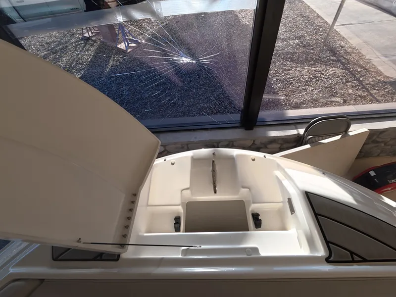 Slide: The Image of Sea Ray SDX 250 Outboard 2027 - 20