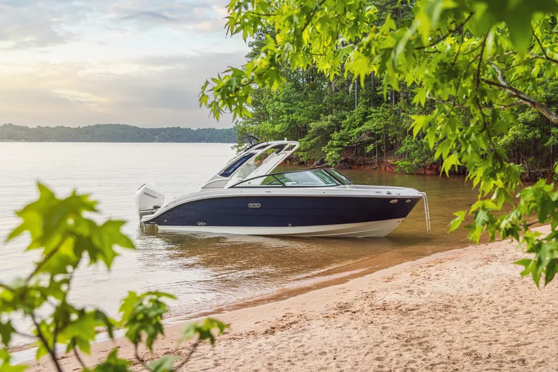 Slide: The Image of Sea Ray SDX 250 Outboard 2027 - 41