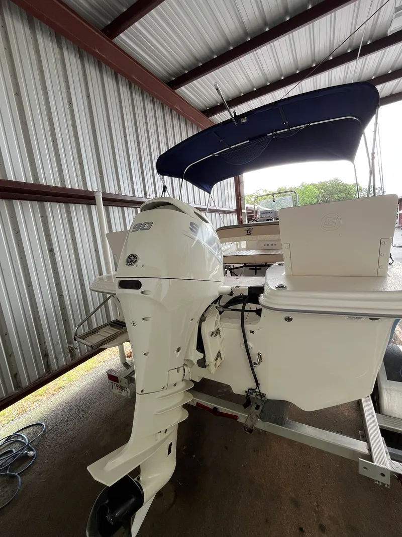 Slide: The Image of Carolina 17 LS 2020 - 3
