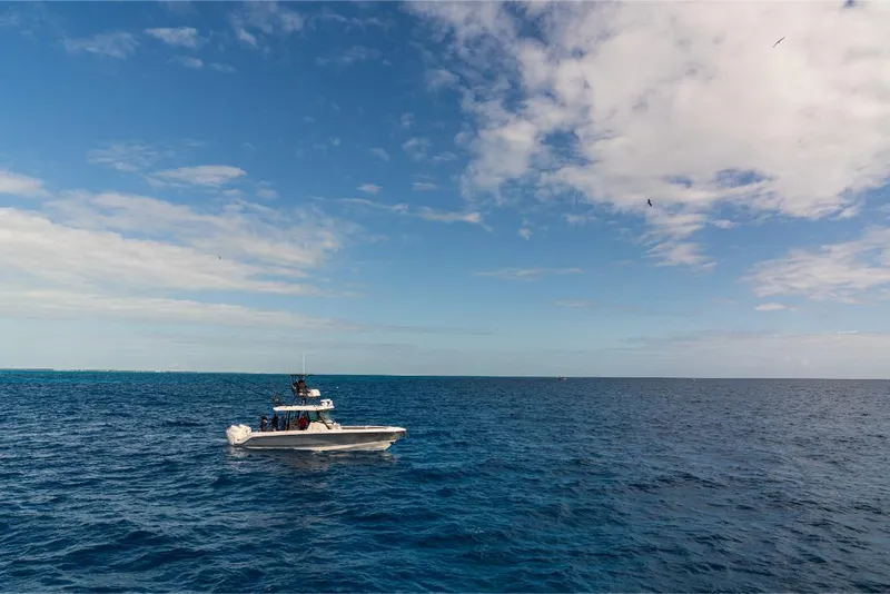 Slide: The Image of Boston Whaler 360 Outrage 2023 - 149