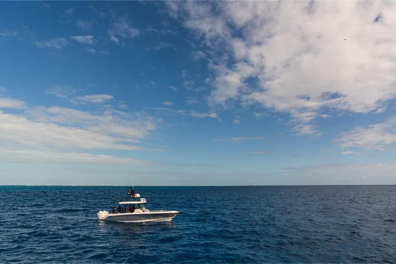 Slide: The Image of Boston Whaler 360 Outrage 2023 - 150