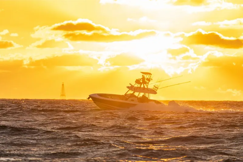 Slide: The Image of Boston Whaler 360 Outrage 2023 - 223