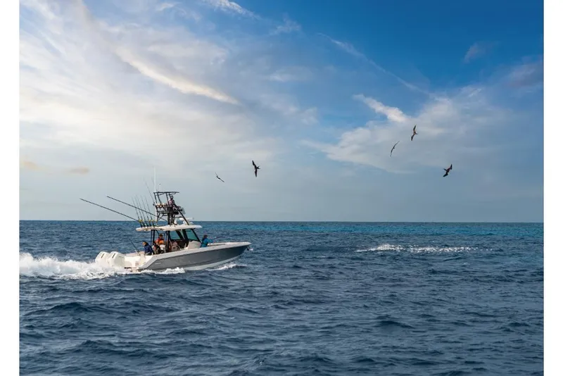 Slide: The Image of 2023 Boston Whaler 360 Outrage boat cruising on open ocean with birds flying. - 41