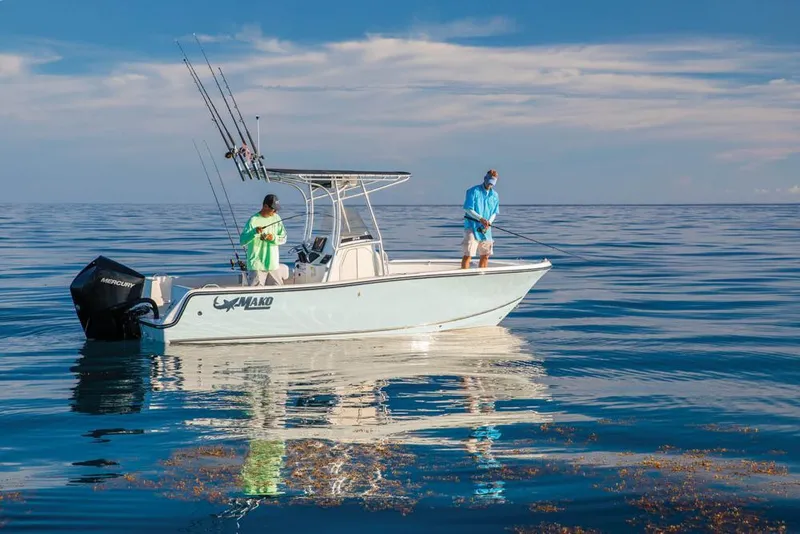 Slide: The Image of Manufacturer Provided Image - 1