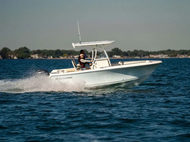 Slide: The Image of Sailfish 220 CC 2023 - 32