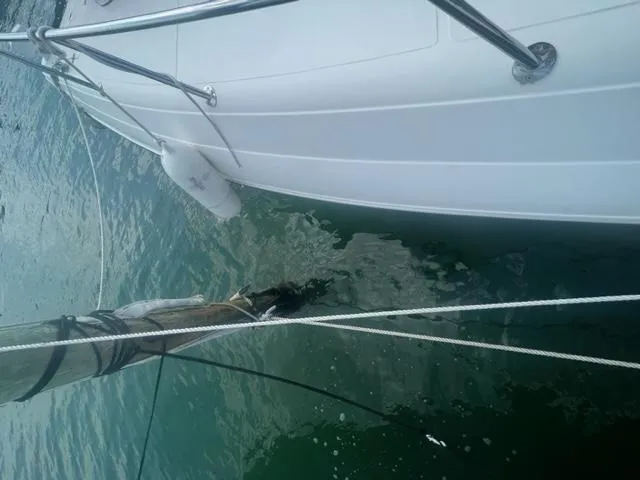 Slide: The Image of Schaefer 365 sailboat on water, side view, 2018 model. - 18