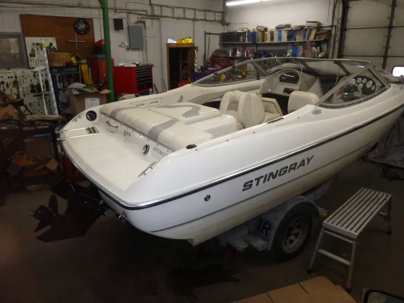 Slide: The Image of Stingray 190 LS 2003 - 11