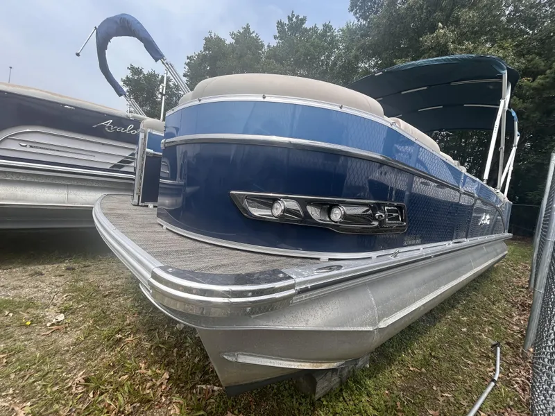 Slide: The Image of Avalon 2585 2023 - 6