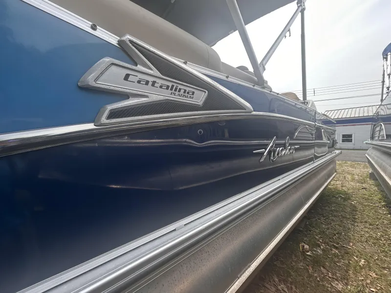 Slide: The Image of Avalon 2585 2023 - 3