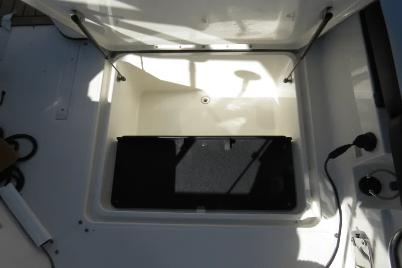 Slide: The Image of Sea Ray 250 SDX-OB 2019 - 25