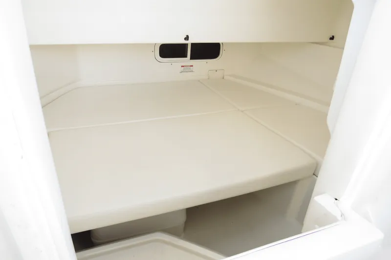 Slide: The Image of Sea Ray 250 SDX-OB 2019 - 28