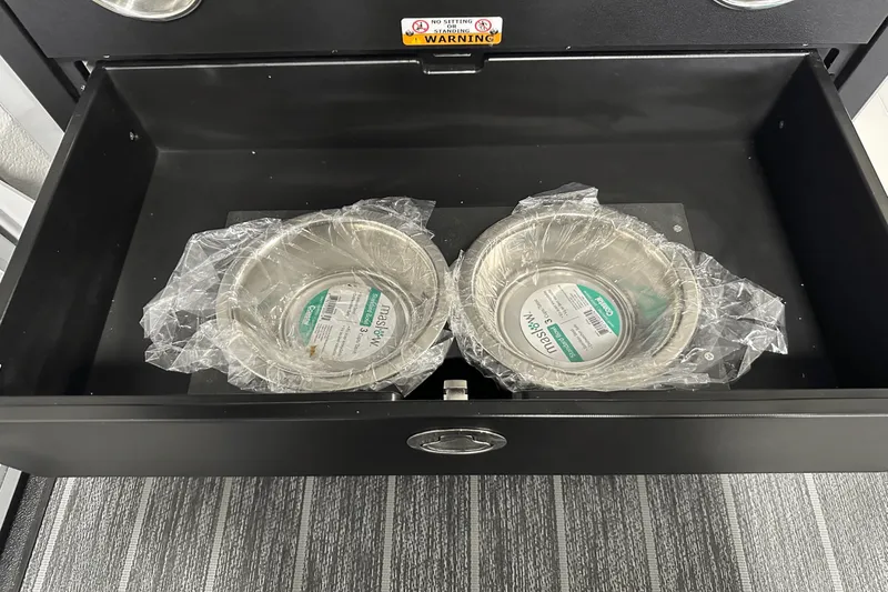 Slide: The Image of Premier 250SOLARIS 2026 - 38