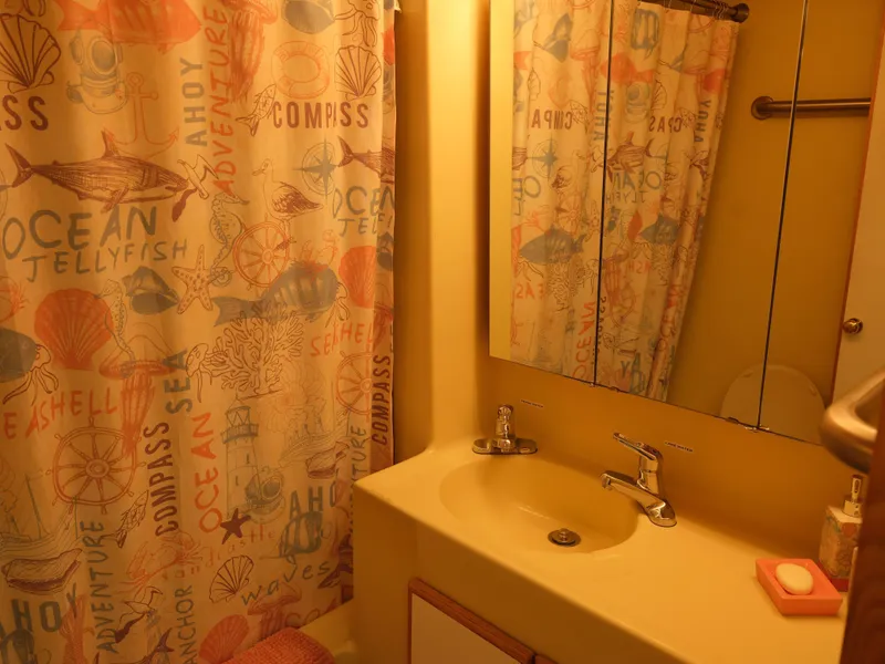 Slide: The Image of Houseboat bathroom with nautical-themed shower curtain, mirror, and sink. Custom 55x14 Stainless Houseboat, 1999. - 27