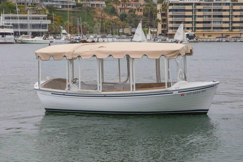 The Image of 2025 Duffy 16 Back Bay electric boat with canopy on calm water. - 1