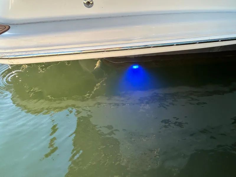Slide: The Image of 2002 Carver 396 Aft Cabin MY with blue underwater light in calm water. - 42
