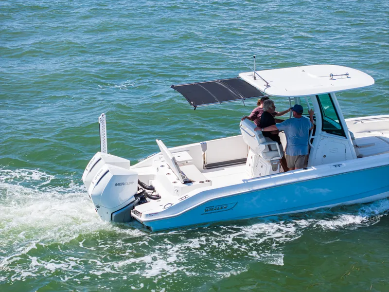 Slide: The Image of Boston Whaler DAUNTLESS 2023 - 8