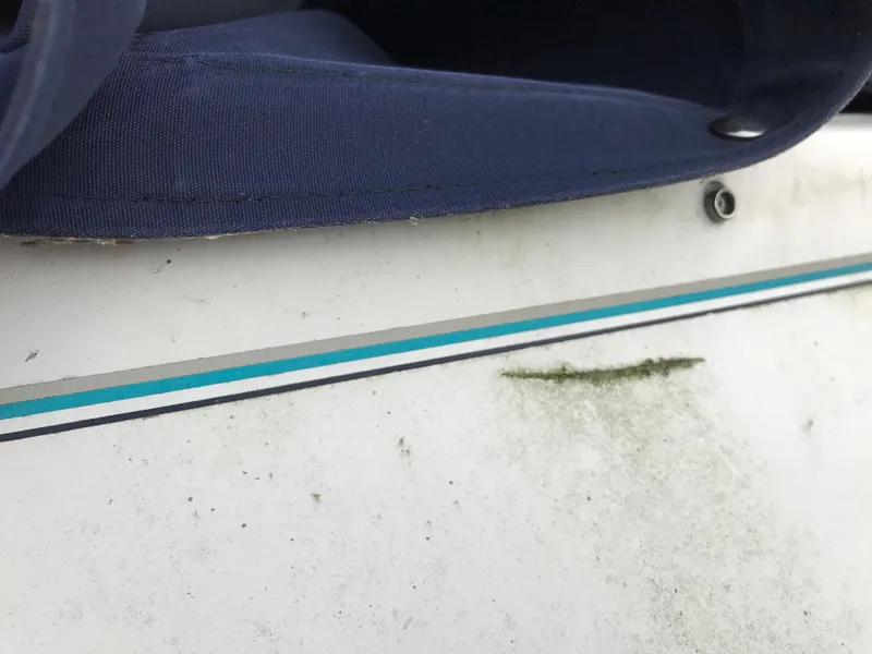 Slide: The Image of Close-up of a 1997 Bayliner 2050 boat with blue trim and some algae growth. - 11