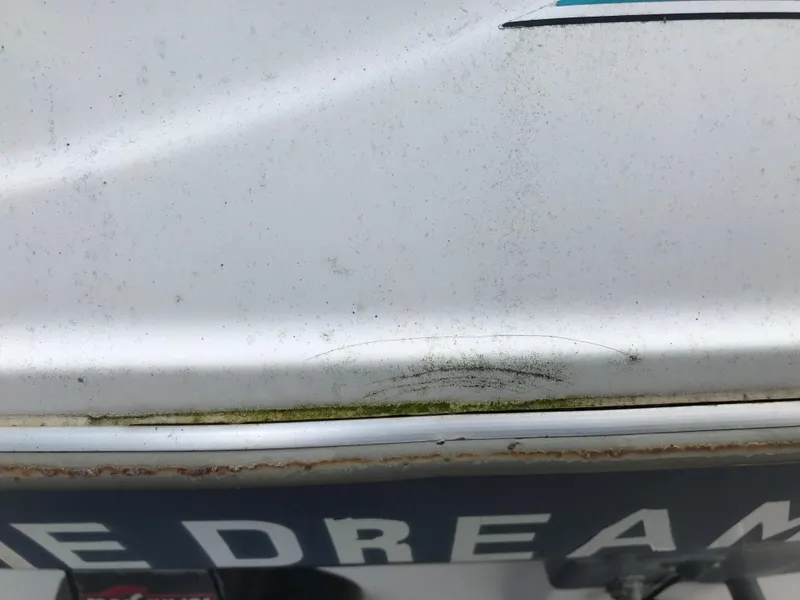 Slide: The Image of 1997 Bayliner 2050 boat with visible wear and moss growth. - 18