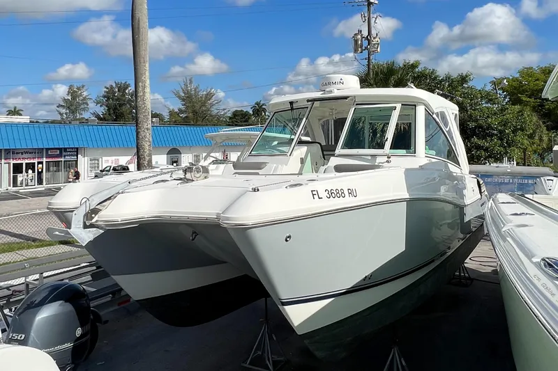 The Image of World Cat 320 DC 2019 - 0