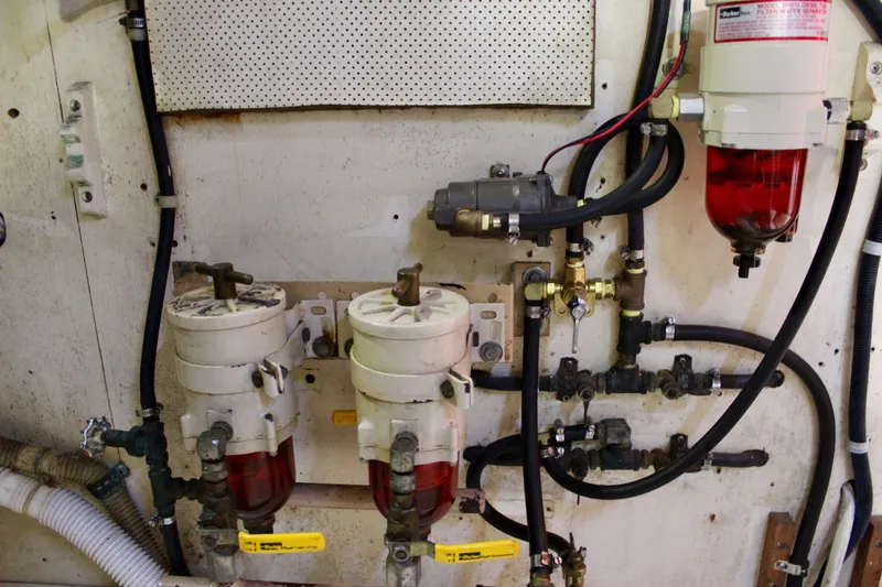 Slide: The Image of Skookum 53 1981 - 107