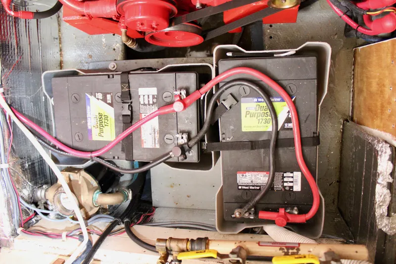 Slide: The Image of Skookum 53 1981 - 109