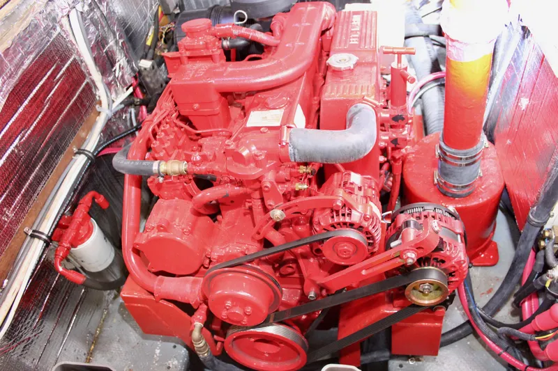 Slide: The Image of Skookum 53 1981 - 110