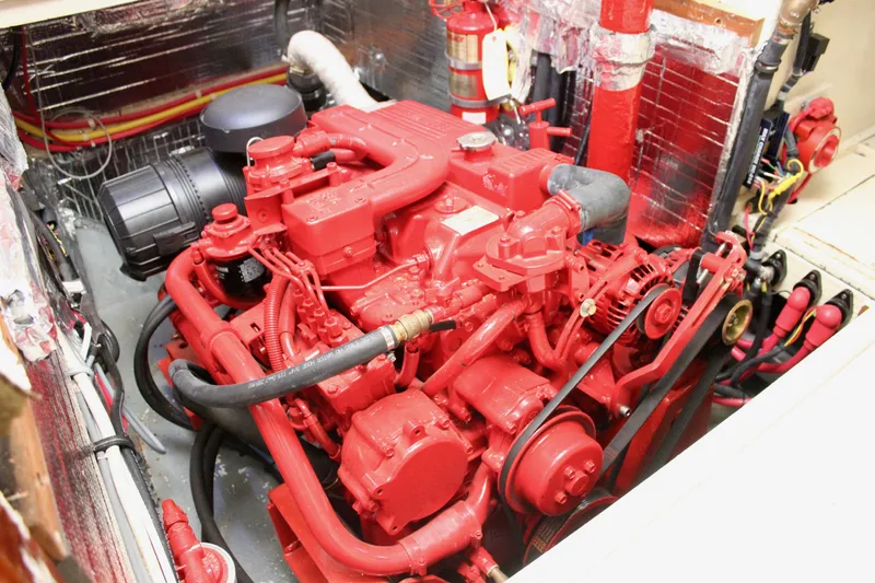 Slide: The Image of Skookum 53 1981 - 112