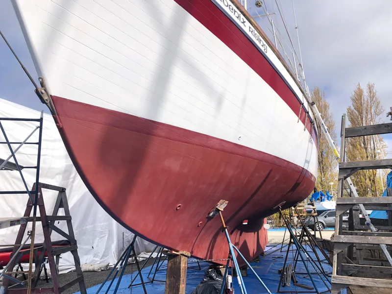 Slide: The Image of Skookum 53 1981 - 123