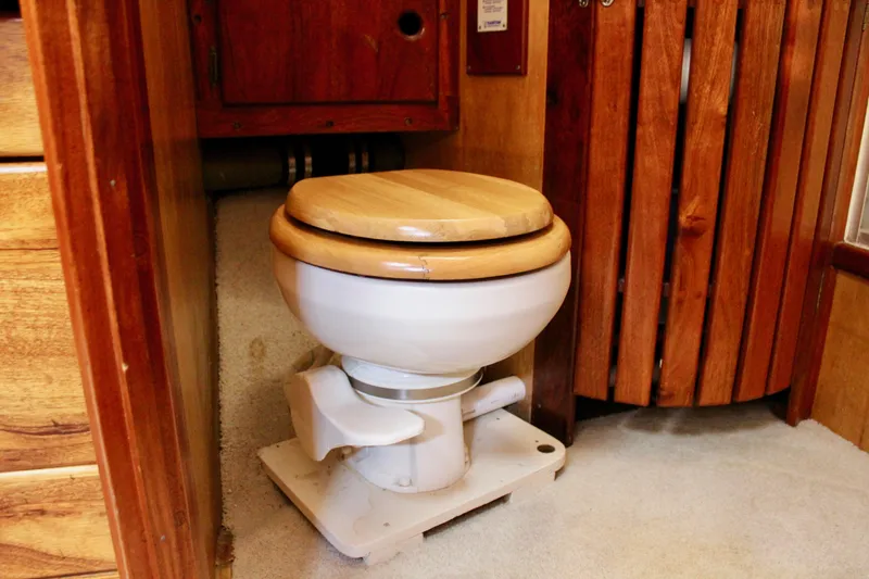 Slide: The Image of Skookum 53 1981 - 99