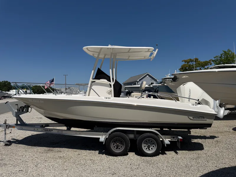 The Image of Boston Whaler 210 DAUNTLESS 2020 - undefined