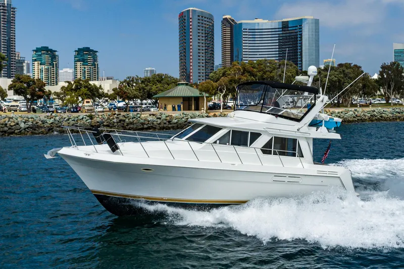 The Image of Californian 3900 1999 - 1