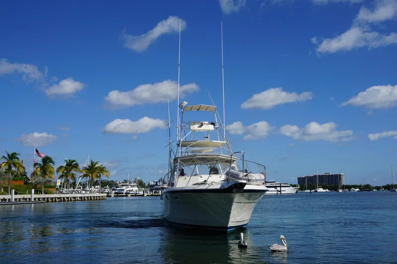 Slide: The Image of 1985 Hatteras 36 Convertible boat on calm water with blue sky and palm trees. - 13