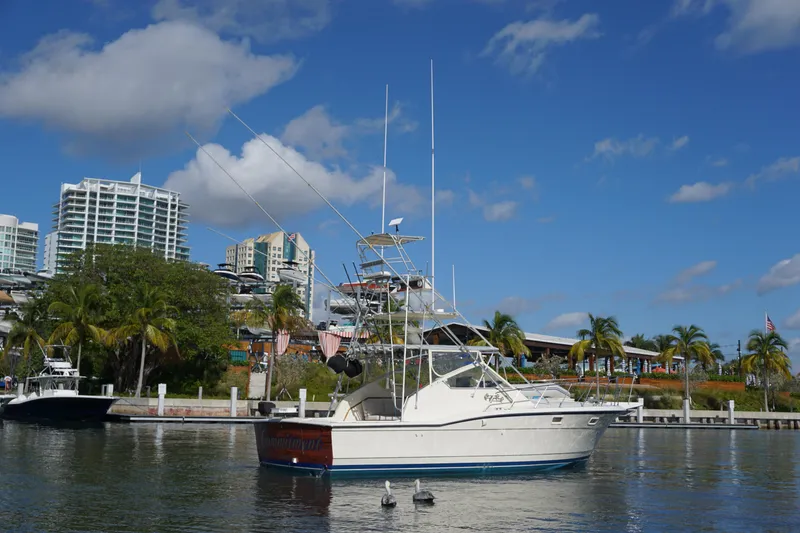 Slide: The Image of 1985 Hatteras 36 Convertible boat docked near a waterfront with buildings and palm trees. - 19