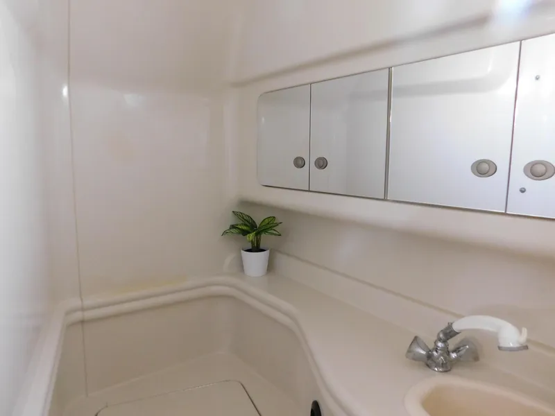 Slide: The Image of 2006 Sea Ray 340 Sundancer bathroom with sink, mirror, and small plant. - 26