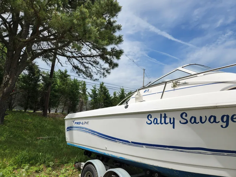 Slide: The Image of 2006 Pro-Line 23 Walk boat named Salty Savage on a trailer, parked near trees. - 10