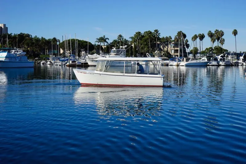 The Image of Custom 23 Custom Harbor Cruiser 2010 - undefined