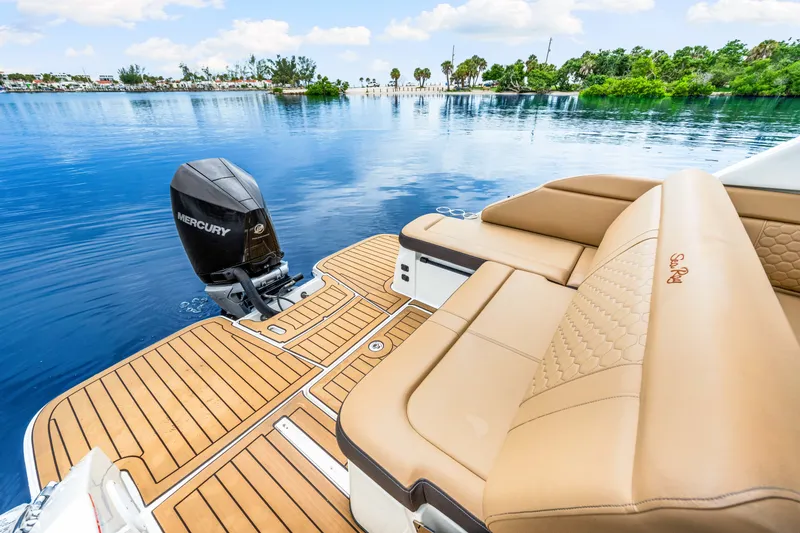 Slide: The Image of Sea Ray 250 SDX 2023 - 20