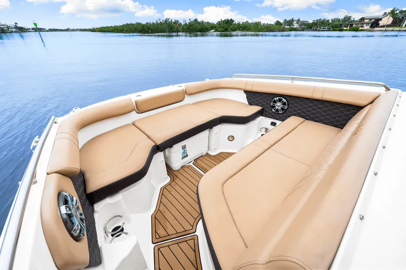 Slide: The Image of Sea Ray 250 SDX 2023 - 28