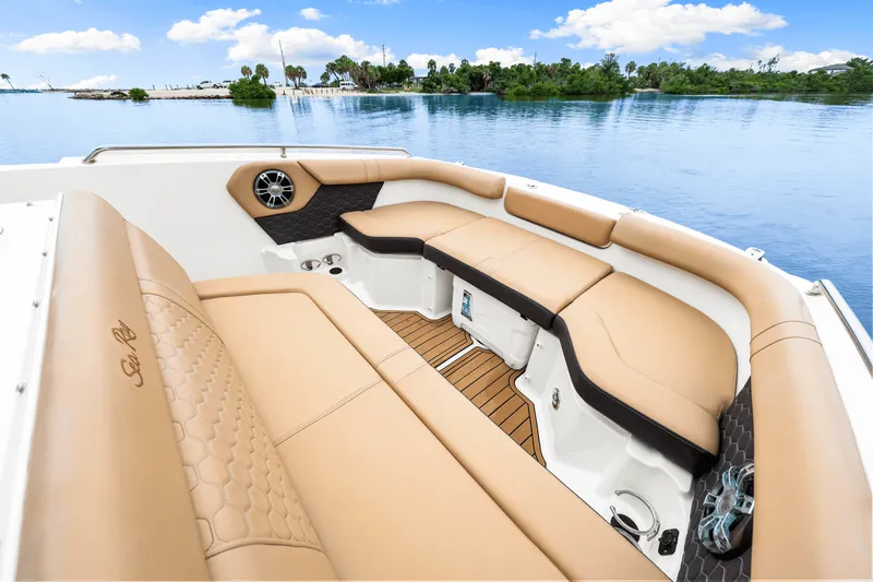 Slide: The Image of Sea Ray 250 SDX 2023 - 29