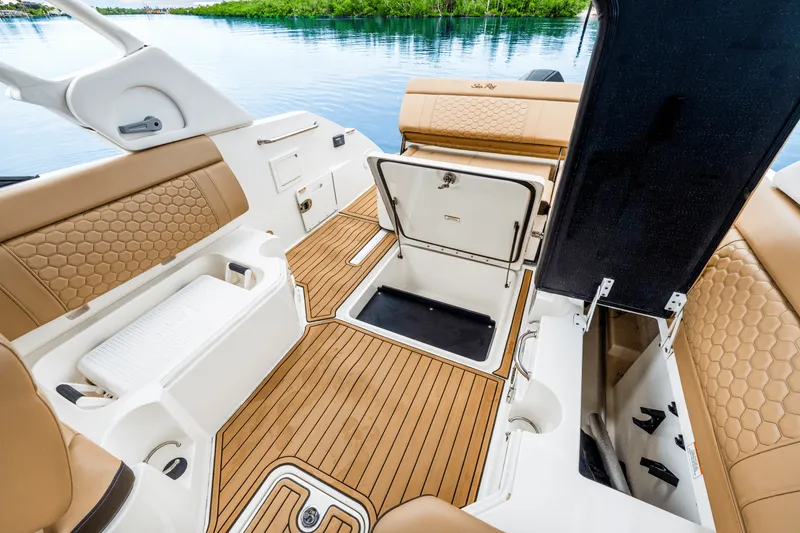 Slide: The Image of Sea Ray 250 SDX 2023 - 33