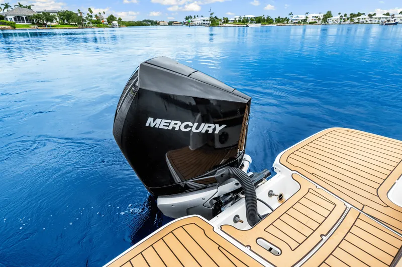 Slide: The Image of Sea Ray 250 SDX 2023 - 34